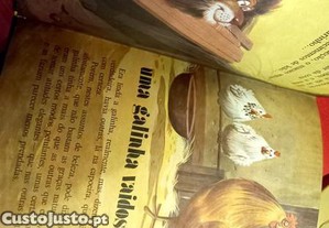 imagem_3