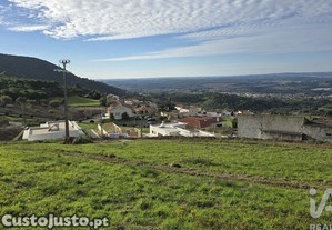 imagem_13