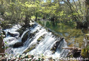 imagem_34