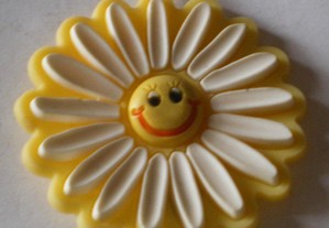 imagem_6