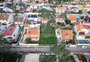 imagem_12