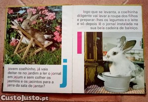 imagem_2