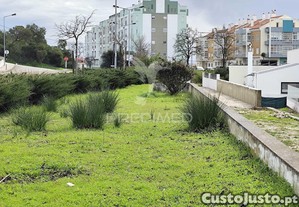 imagem_14