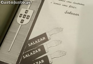 imagem_8