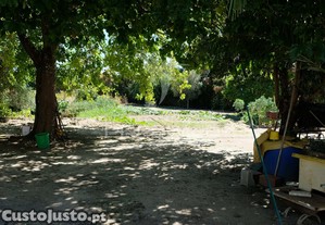 imagem_28