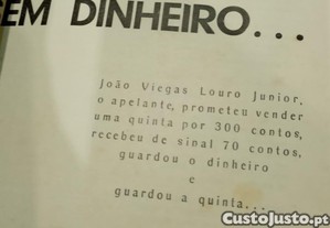 imagem_7