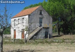 imagem_14