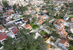 imagem_9