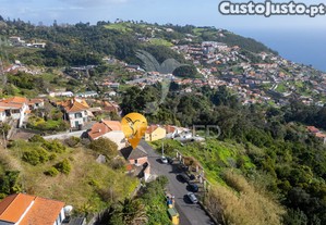 imagem_8