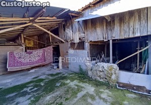 imagem_8