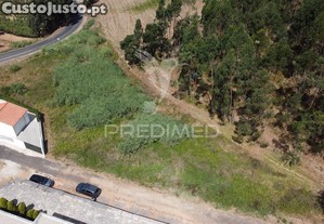 Terreno rústico com viabilidade de construção em vidais 3100m² de potencial