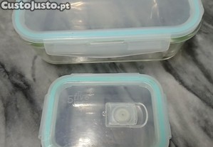 2 Recipientes para alimentos em vidro