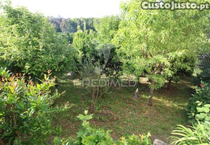 imagem_24
