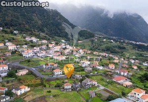 imagem_8