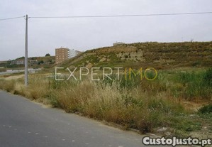 imagem_19