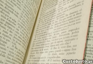 imagem_5