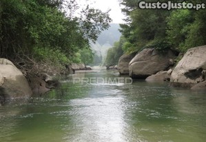 imagem_11