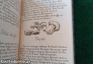 imagem_8