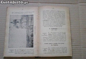 imagem_5