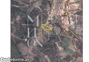 imagem_1
