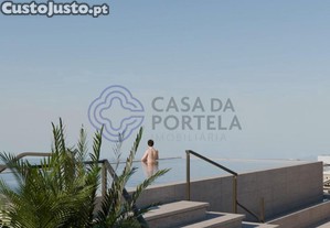 imagem_13