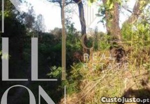 imagem_6