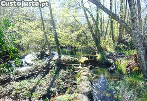 imagem_35