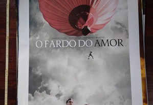 imagem_19