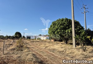 imagem_35