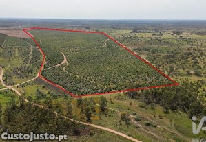 Terreno Agrícola em Bemposta