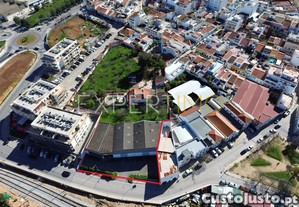 imagem_15
