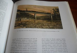 imagem_7