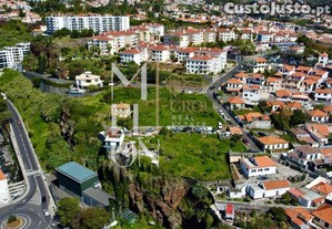 imagem_7