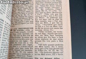 imagem_6