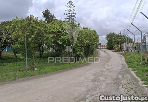 imagem_38