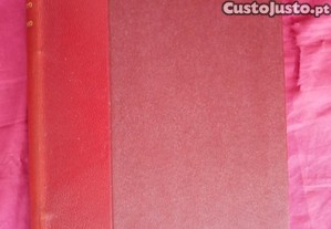 imagem_4