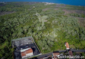 imagem_12