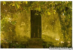imagem_7