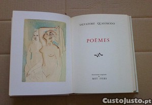 imagem_5