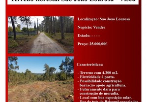 Terreno florestal com 4000 m2 junto São João Lourosa