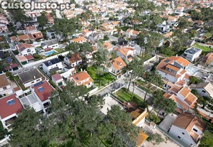 imagem_18