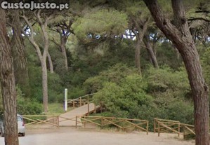 imagem_13