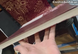 imagem_10