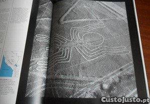 imagem_8