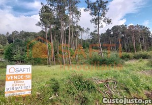 Terreno De Cultivo