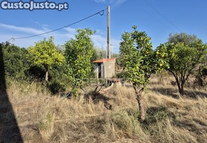 Terreno rustico