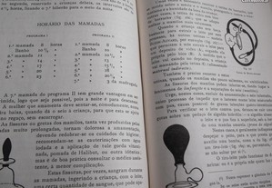 imagem_6