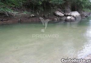 imagem_12