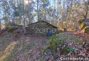 Terreno Com Corte De Chão De Castro*