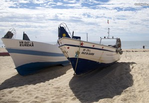 imagem_8